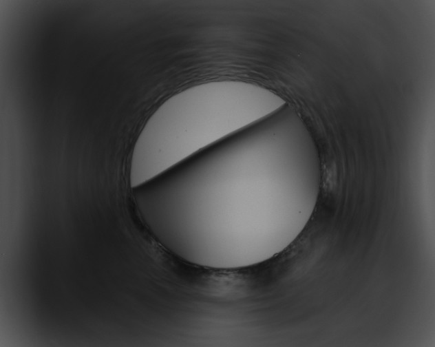 X0000090610666200707171045