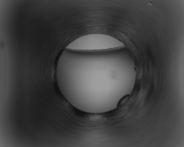 X0000090610669200707171045