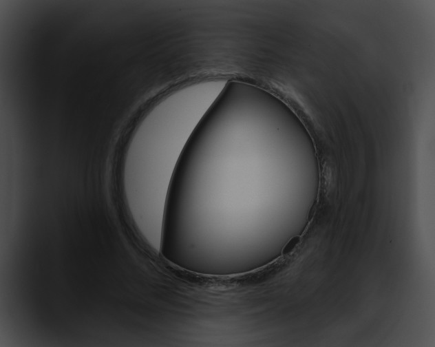 X0000090610684200707171045