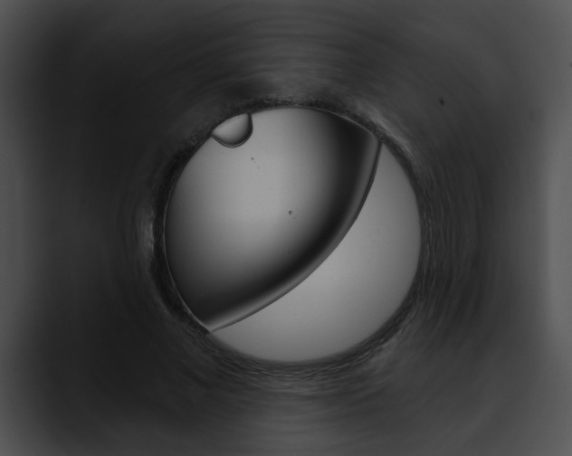 X0000090610685200707171045