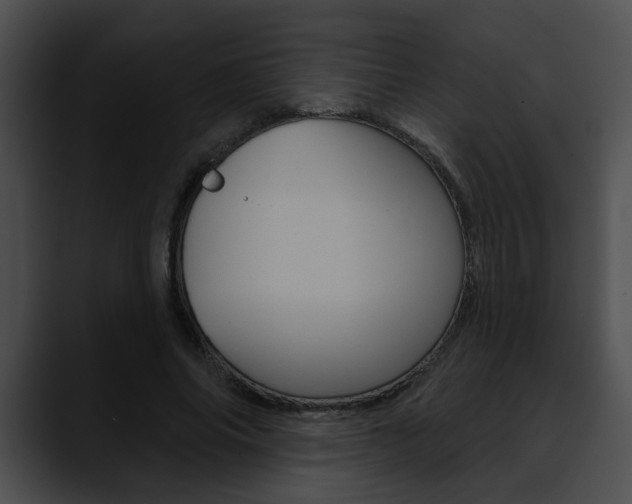 X0000090610686200707171045