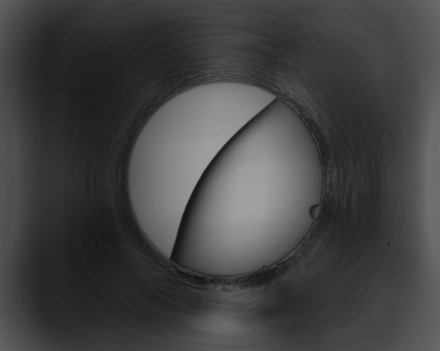 X0000090610694200707171044