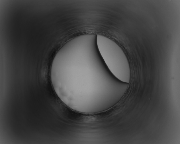 X0000090610698200707171044