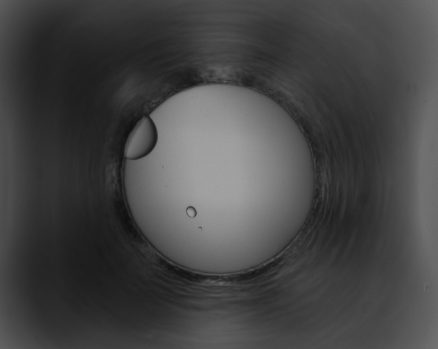 X0000090610699200707171044