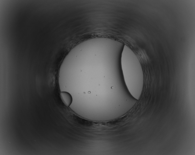 X0000090610703200707171044