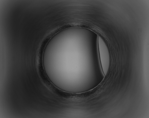 X0000090610732200707171043