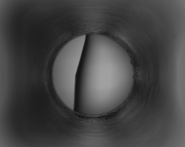 X0000090610738200707171044