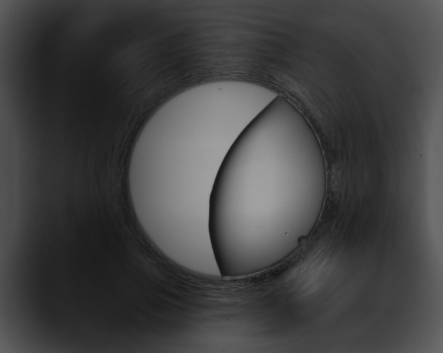 X0000090610741200707171044