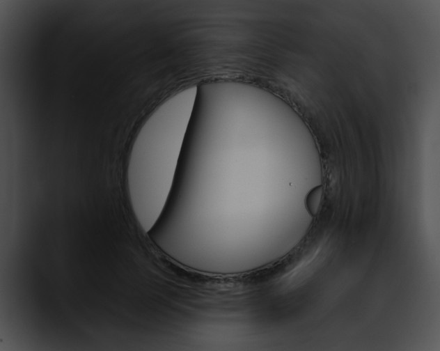 X0000090610745200707171044