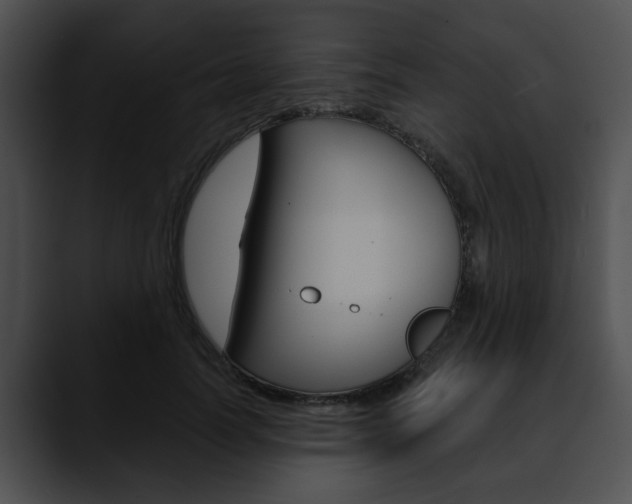 X0000090610746200707171044