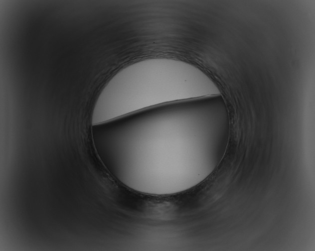 X0000090610747200707171044