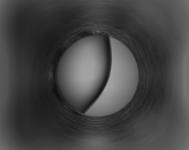 X0000090610754200707171044