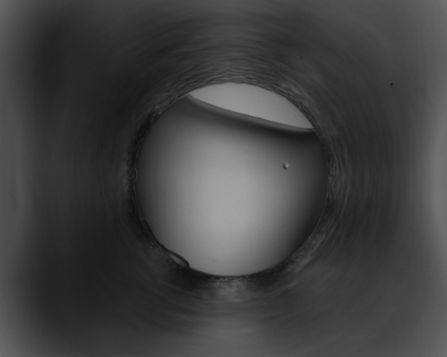 X0000090610762200707171044