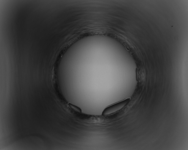 X0000090610764200707171044