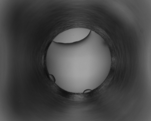X0000090610765200707171044