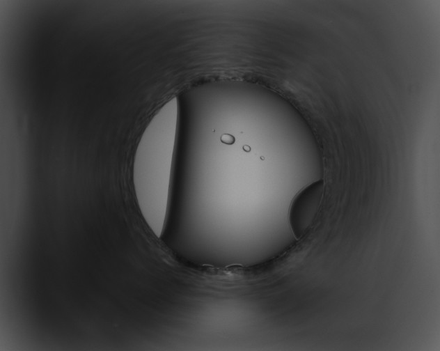 X0000090610768200707171044