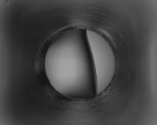 X0000090610775200707171043