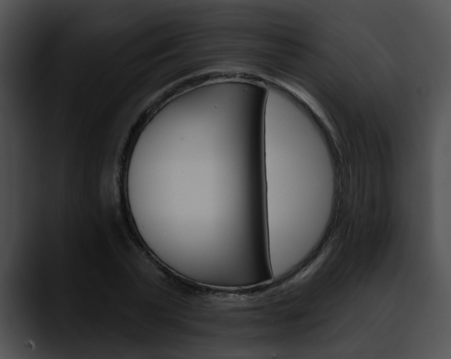 X0000090610783200707171043