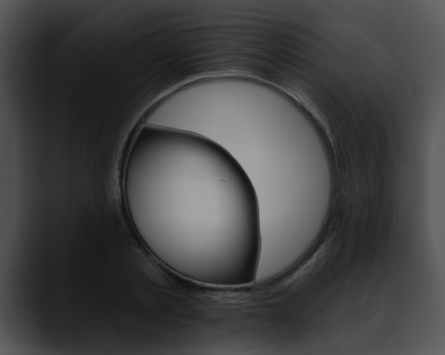 X0000090610789200707171043