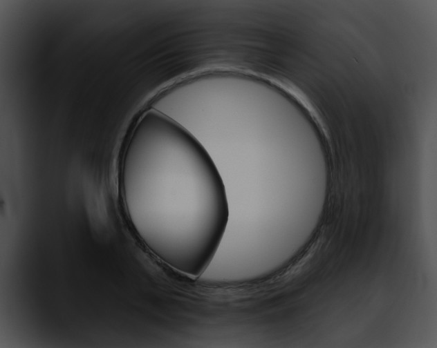 X0000090610791200707171043