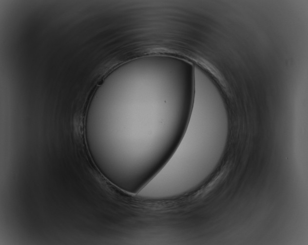 X0000090610793200707171043