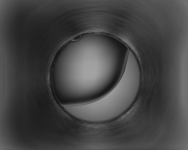 X0000090610797200707171043