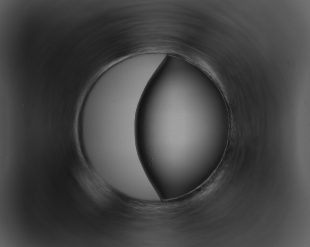 X0000090610803200707171043