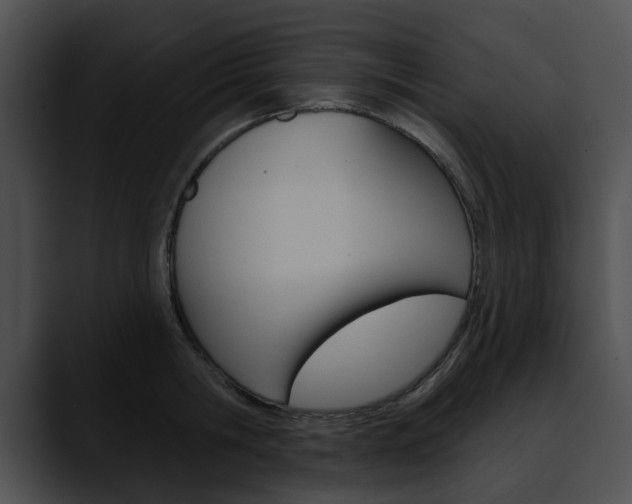 X0000090610806200707171043