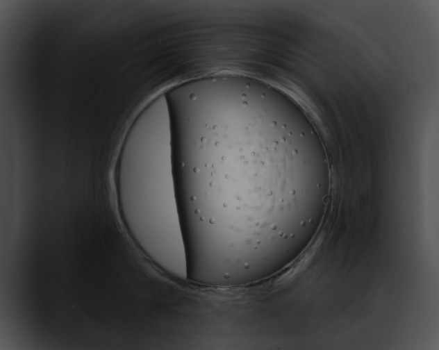 X0000090610814200707171043