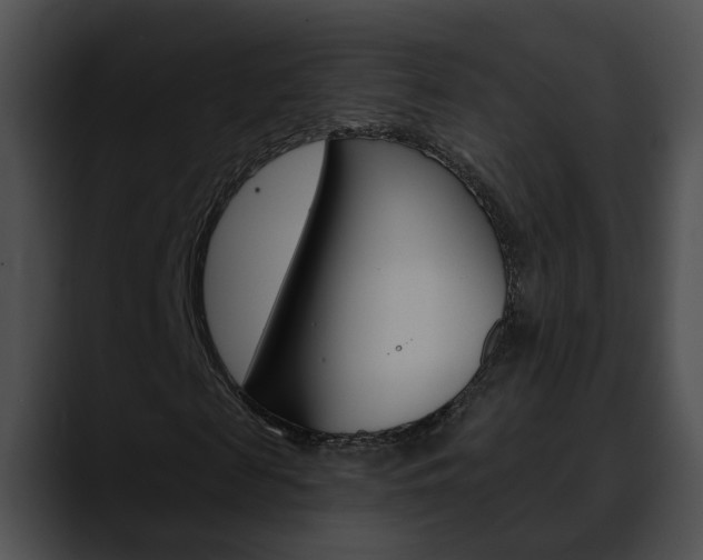 X0000090610817200707171042