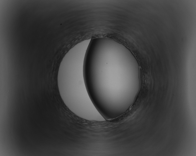 X0000090610818200707171042