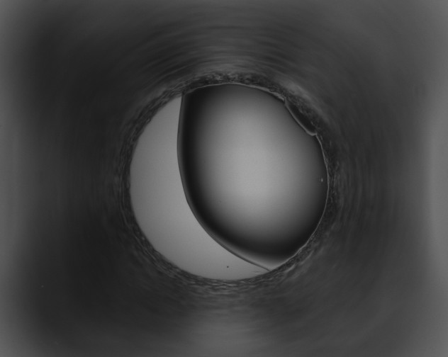 X0000090610822200707171042