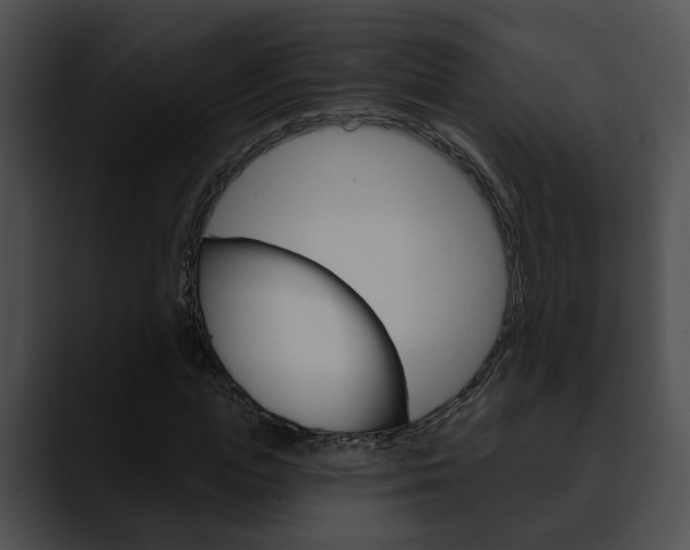 X0000090610823200707171042