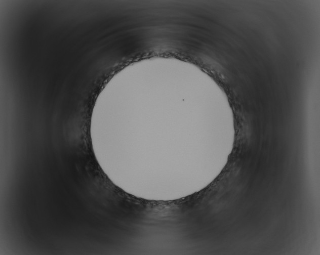 X0000090610824200707171042
