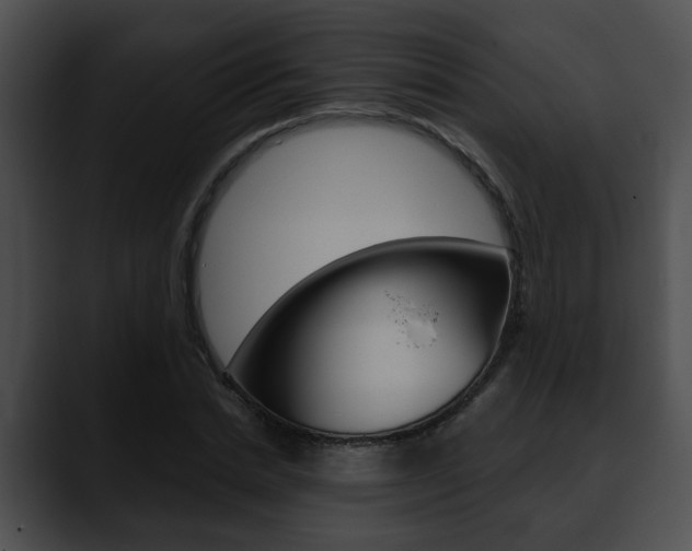 X0000090610830200707171042