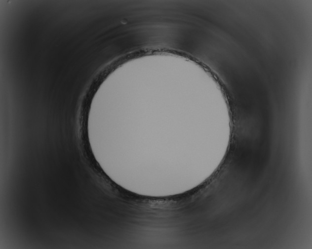 X0000090610832200707171042