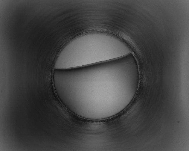 X0000090610833200707171042