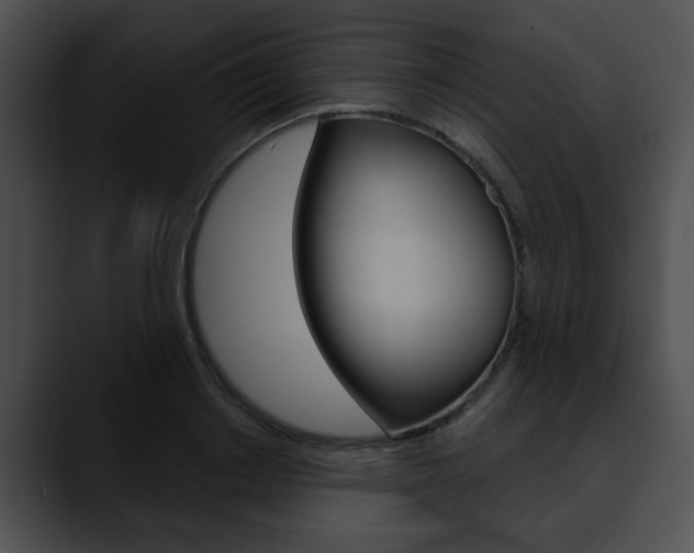X0000090610842200707171043