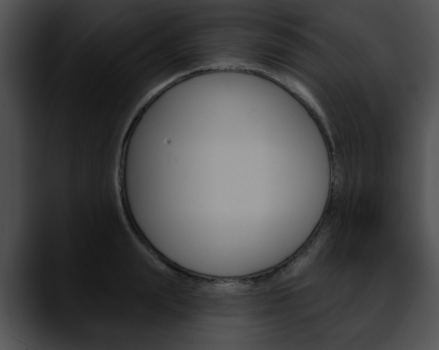 X0000090610847200707171043