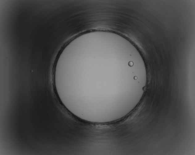X0000090610848200707171043
