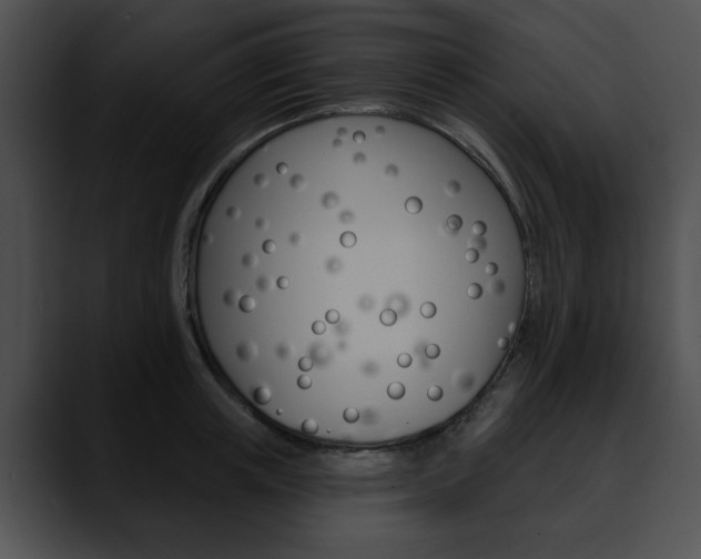 X0000090610851200707171043