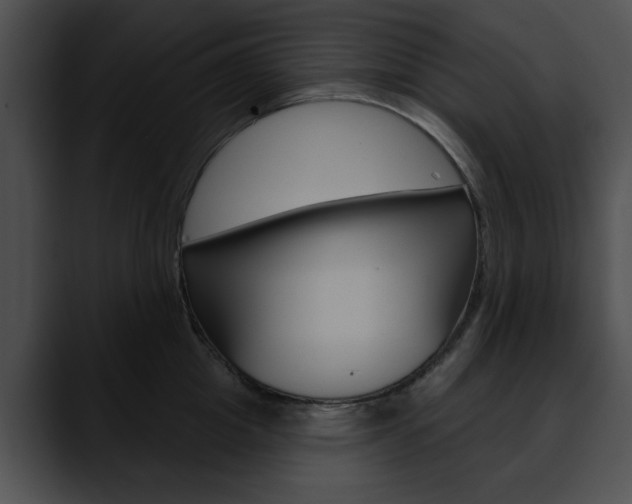 X0000090610857200707171043