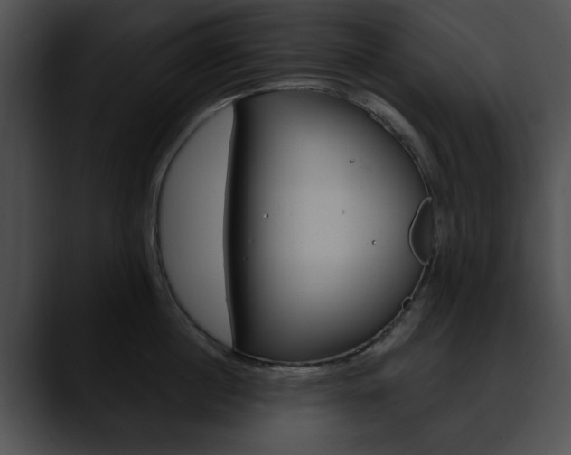 X0000090610860200707171043