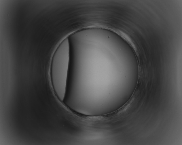 X0000090610863200707171043