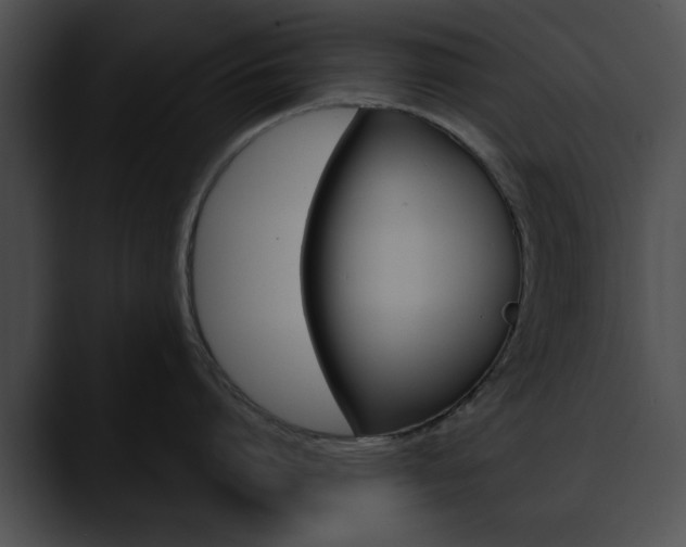 X0000090610864200707171043