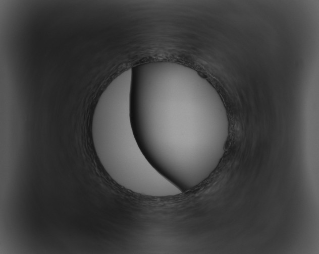 X0000090610865200707171042