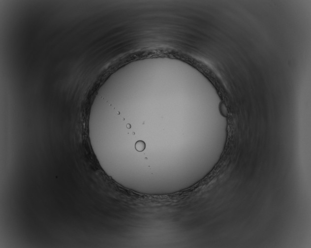X0000090610871200707171042