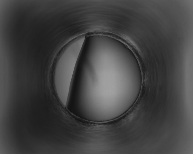 X0000090610877200707171042