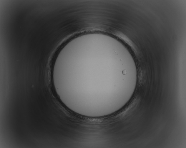 X0000090610878200707171042