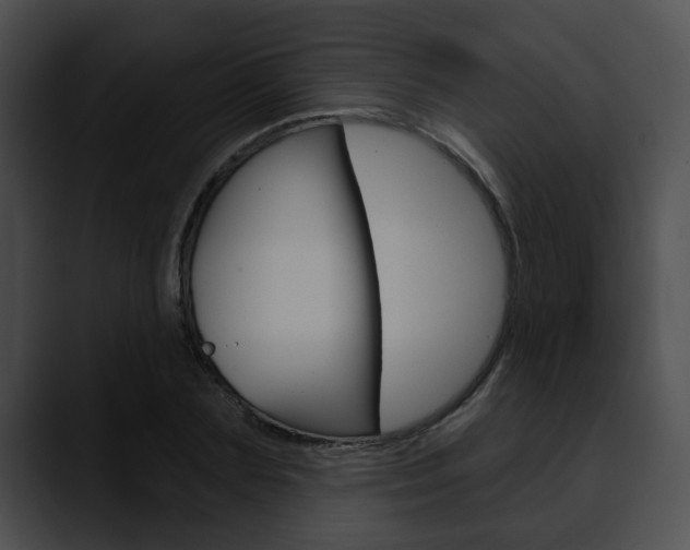 X0000090610883200707171042